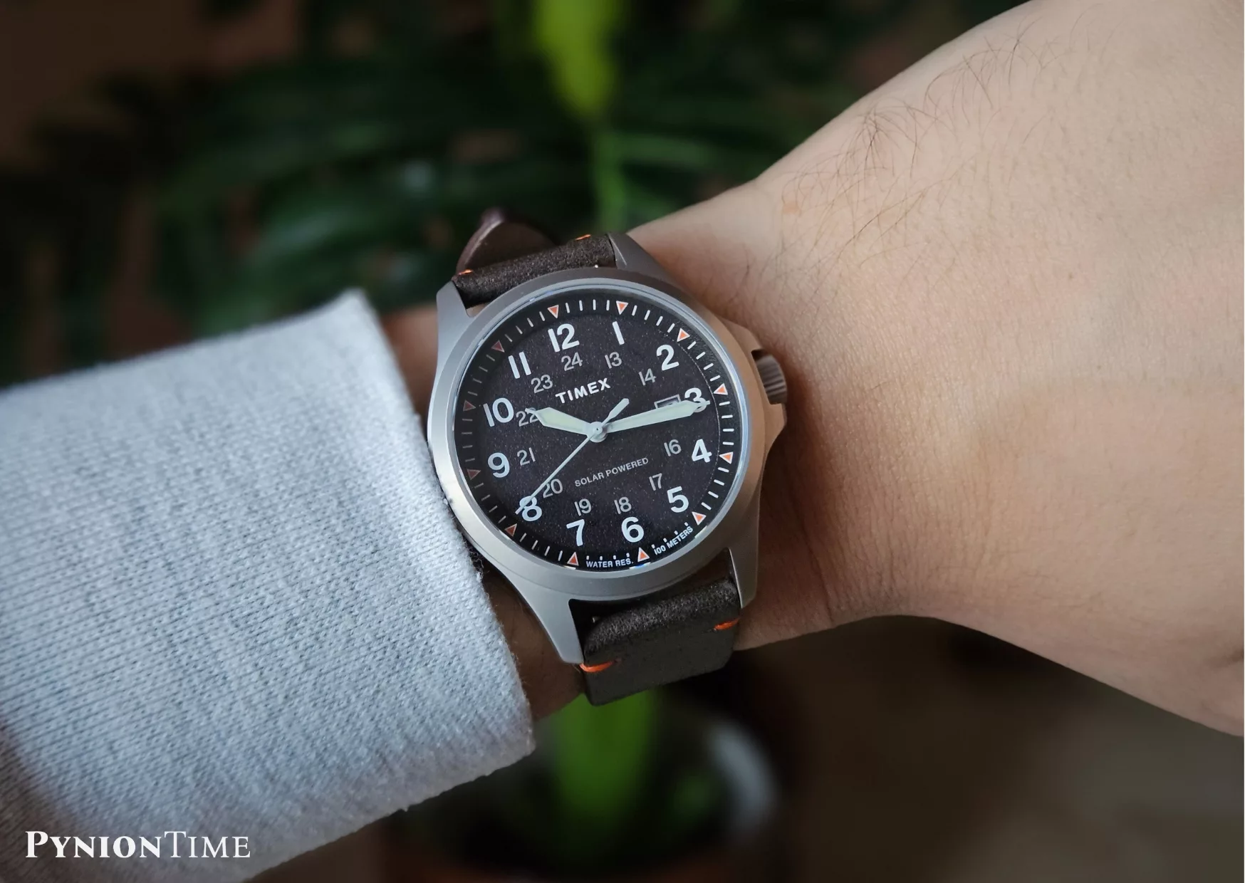 Timex Expedition North Field Solar TW2V64100 on wrist