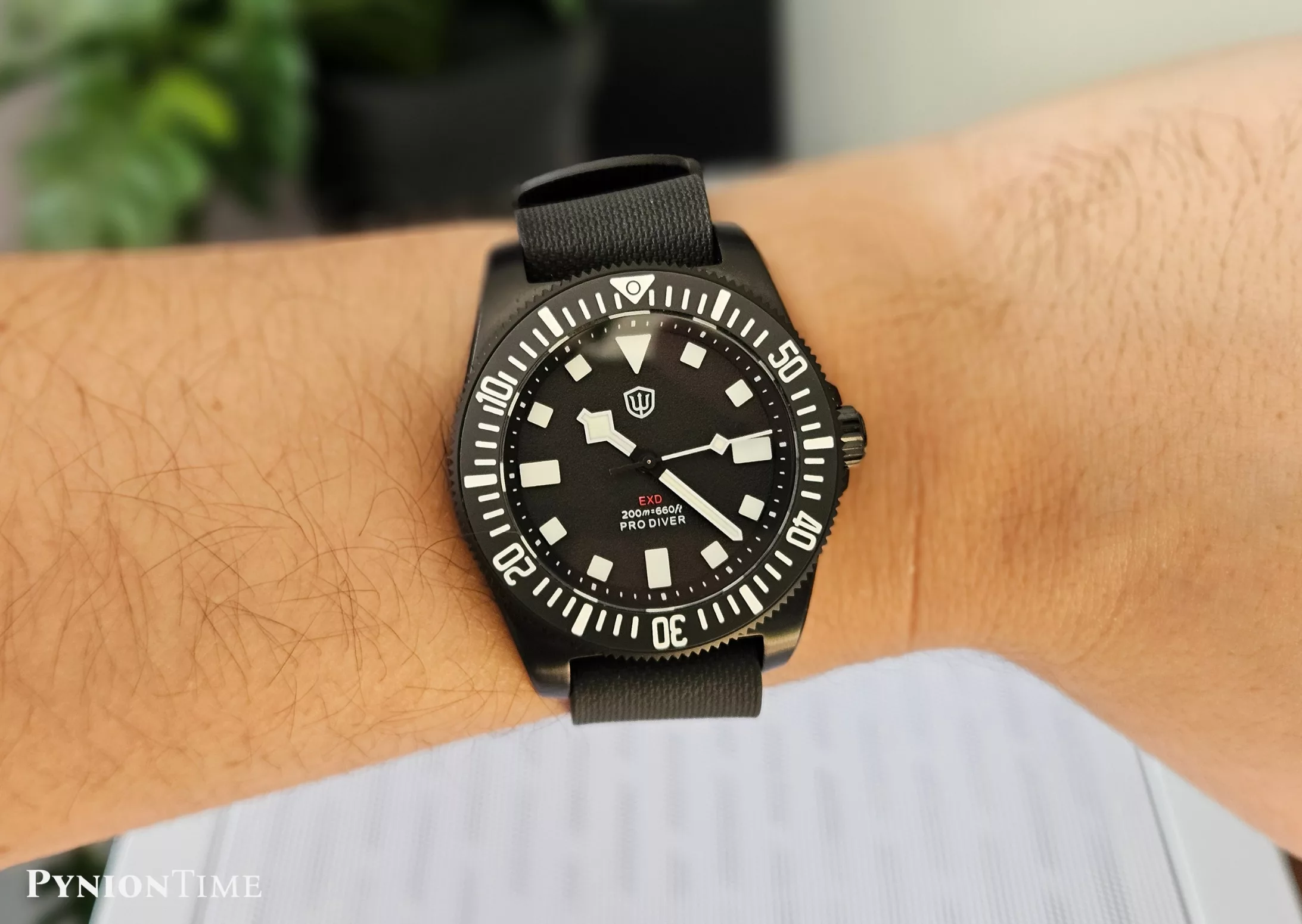 Watchdives EXD 40mm on wrist