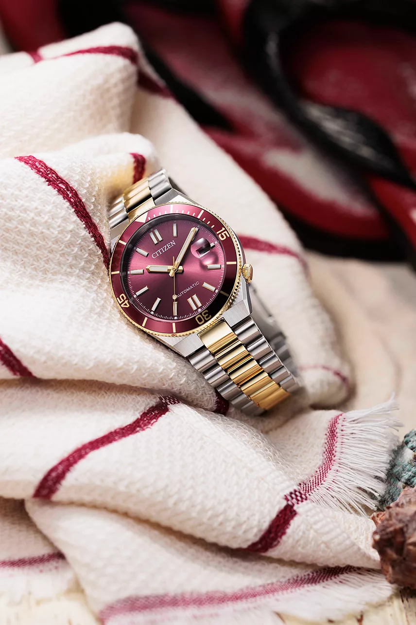 Citizen Tsuyosa Shore NJ0234-58X