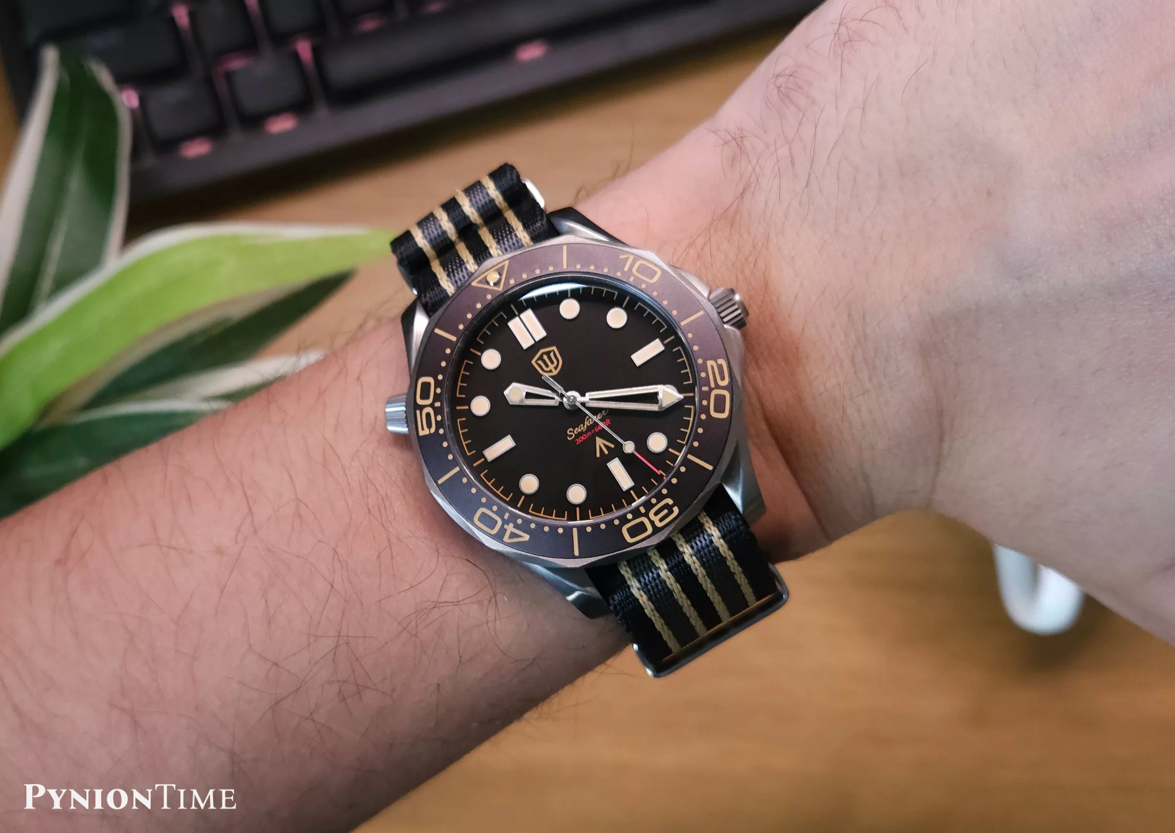 Watchdives Seafarer WD007Q on my 6.5" wrist