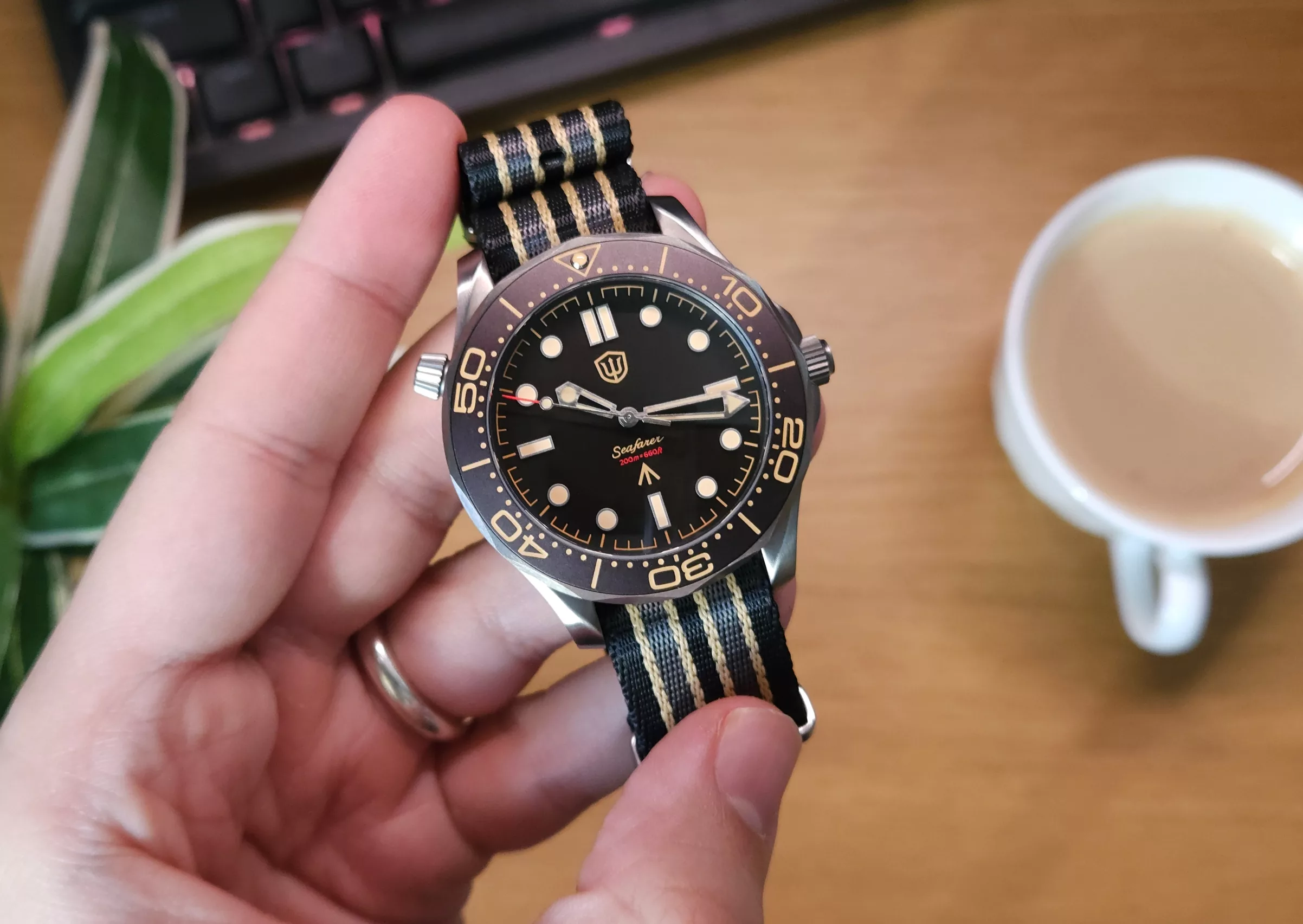 Watchdives Seafarer WD007Q VH31 Titanium NTTD Review