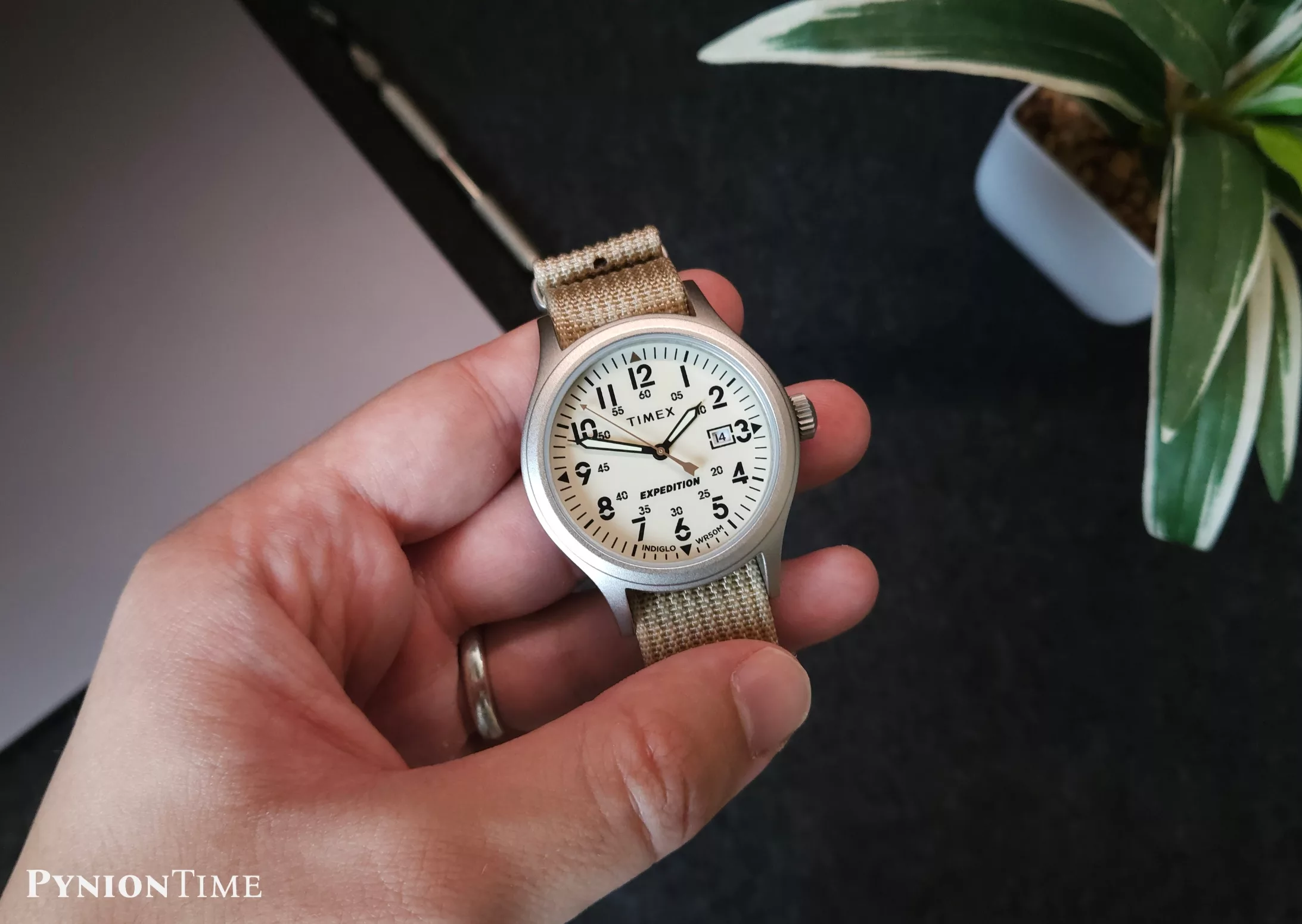 It comes with Arabic numerals, keeping the field-watch layout easy to read