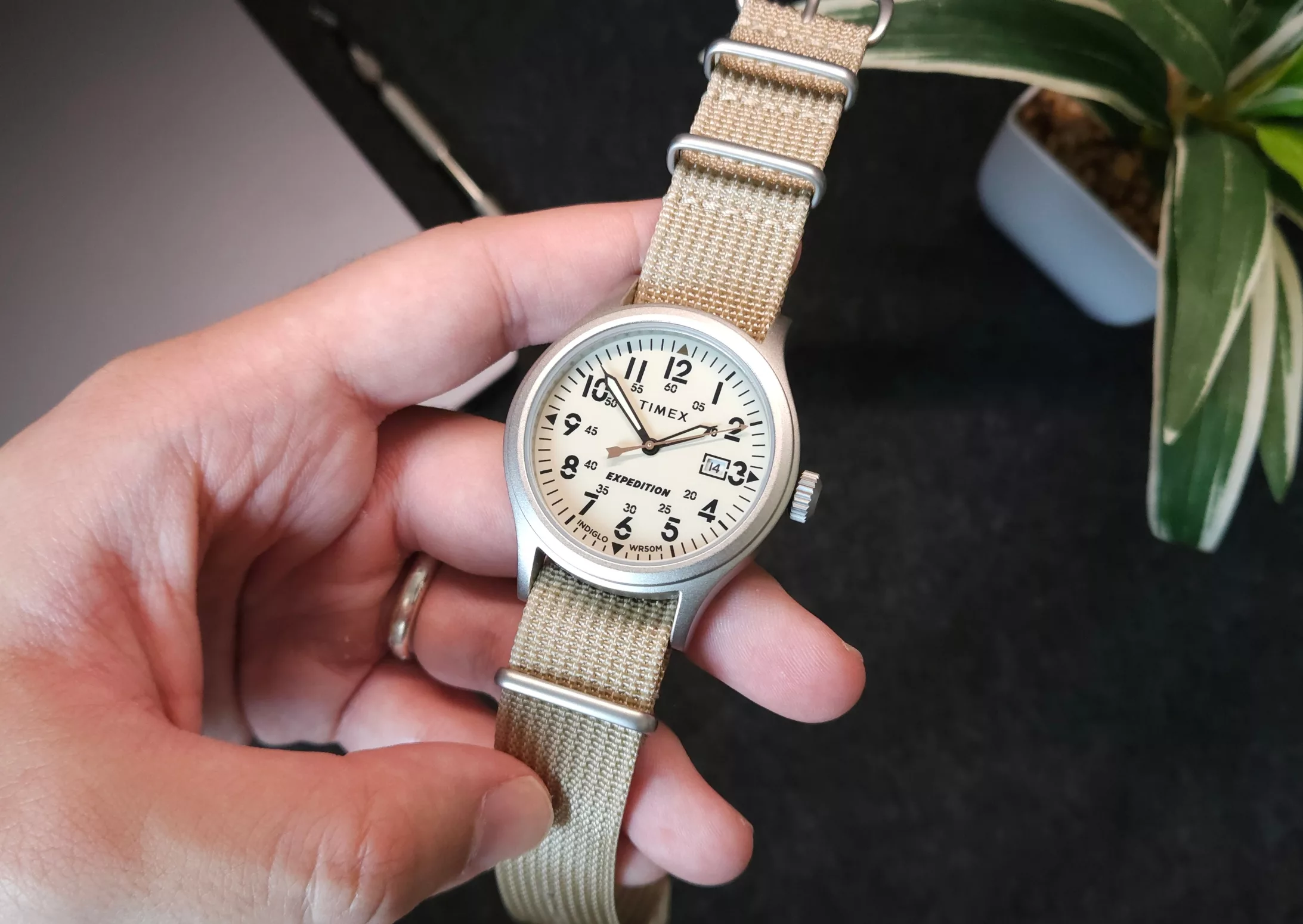 Timex Expedition TW4B30100 review