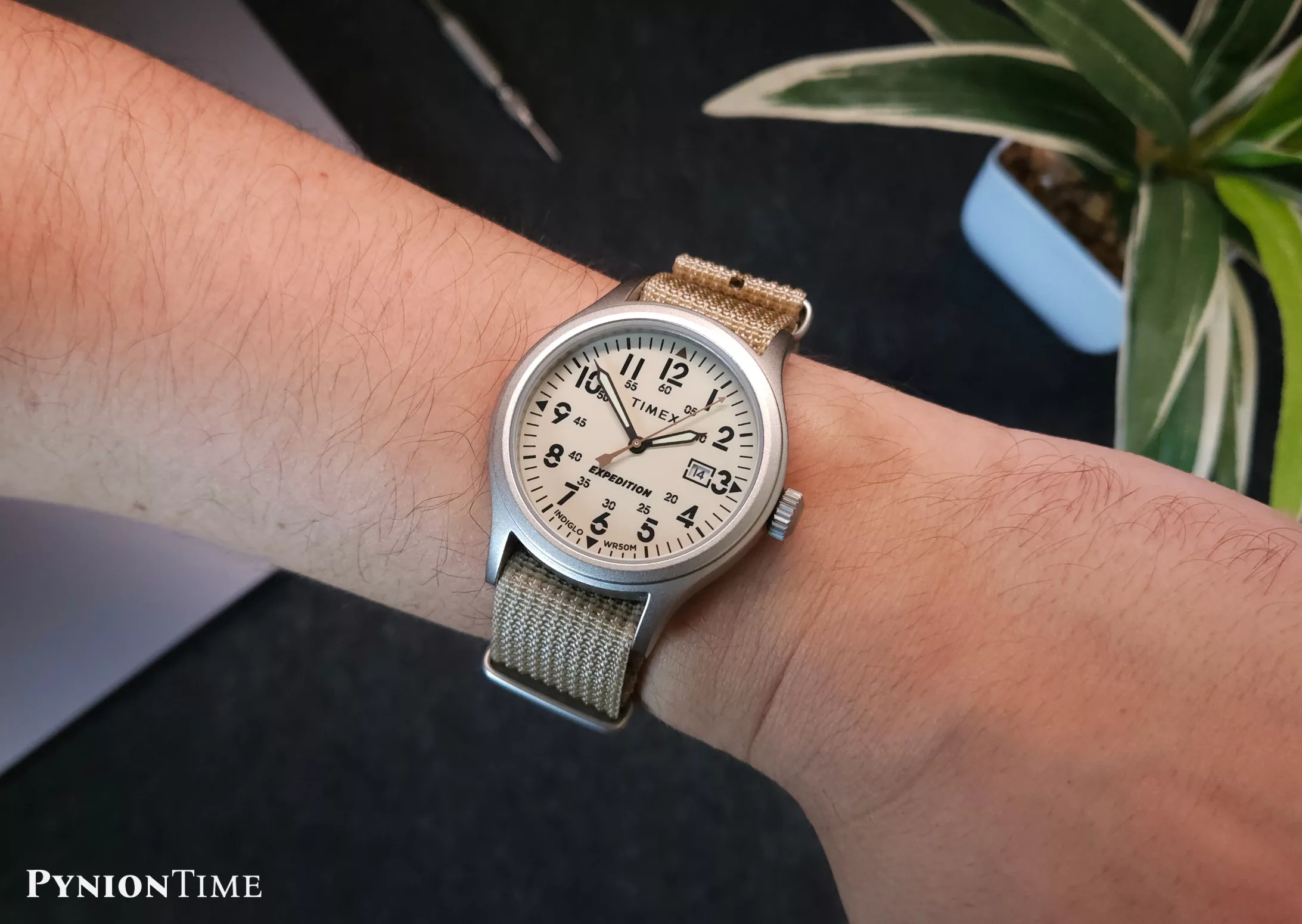 Timex Expedition TW4B30100 on my 6.5" wrist